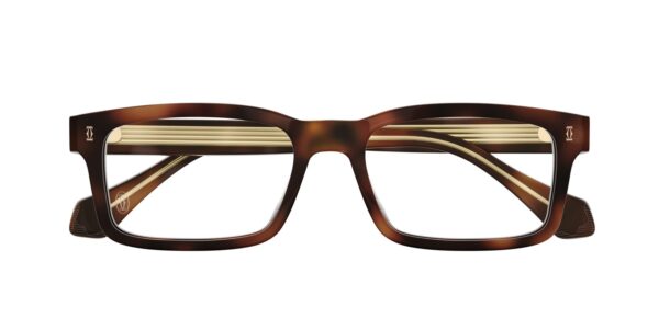 Cartier CT0291o-012 56mm - Image 3