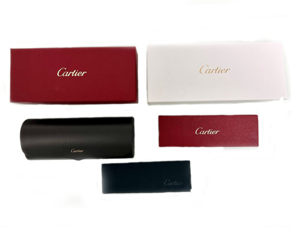 Cartier CT0273S-002-99 99mm - Image 2