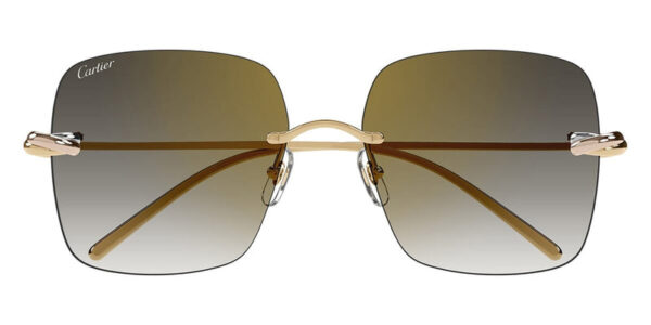 Cartier CT0508S-001 60mm - Image 2