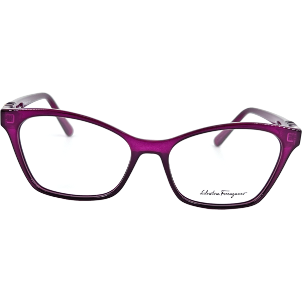 Salvatore Ferragamo SF2902-510-5416 54mm - Image 3