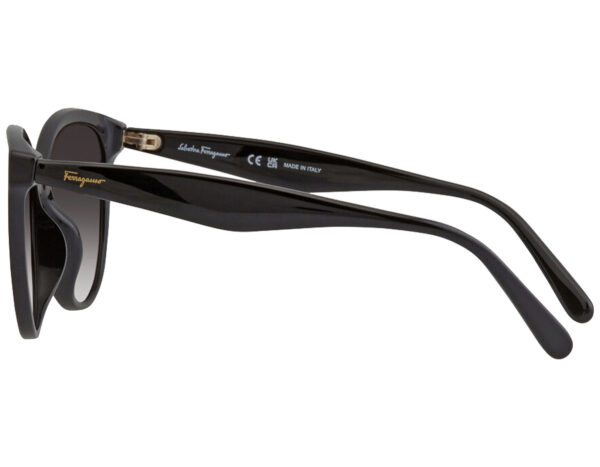 Salvatore Ferragamo SF1073S-001-5417 54mm - Image 2