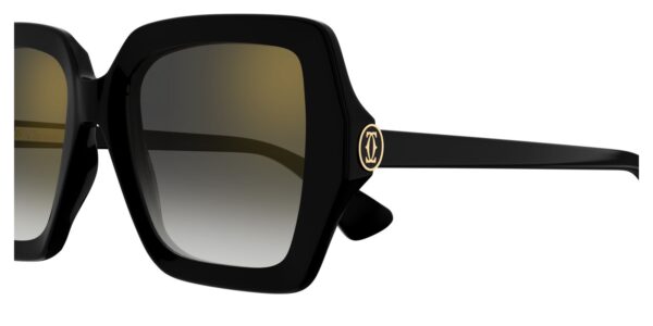 Cartier CT0507S-001 54mm - Image 2
