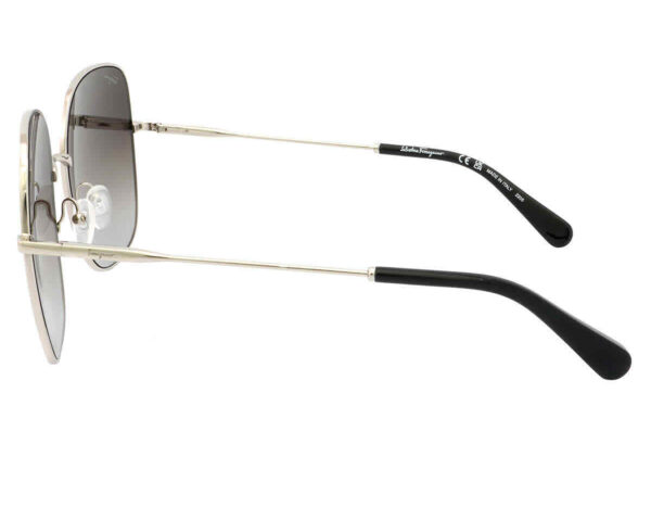 Salvatore Ferragamo SF300S-041 59mm - Image 2