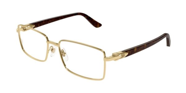 Cartier CT0520o-002 58mm