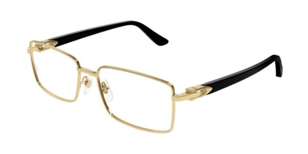 Cartier CT0520o-001 58mm