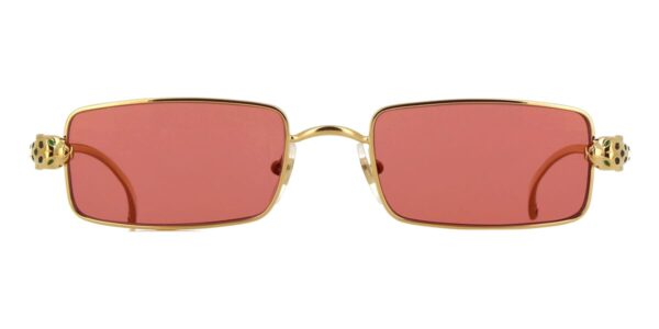 Cartier CT0473S-002 54mm - Image 3