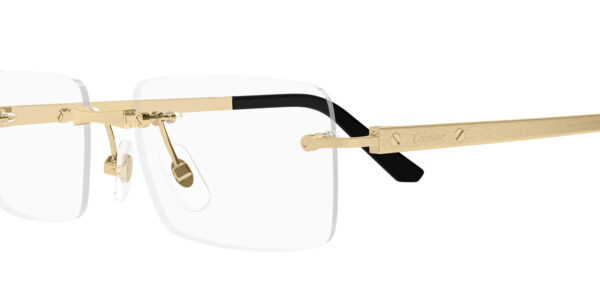 Cartier CT0511o-001 55mm - Image 2