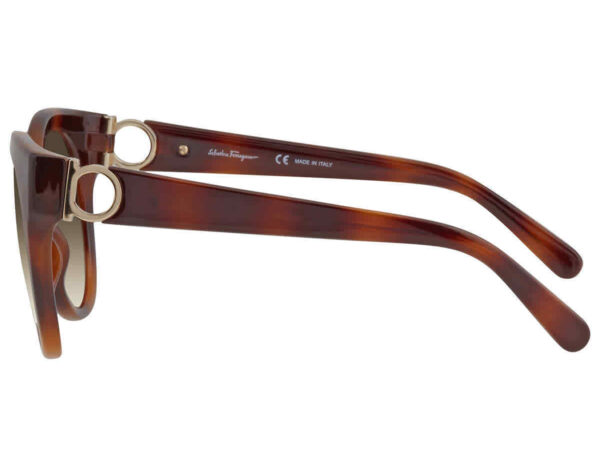 Salvatore Ferragamo SF1031S-214 53mm - Image 2