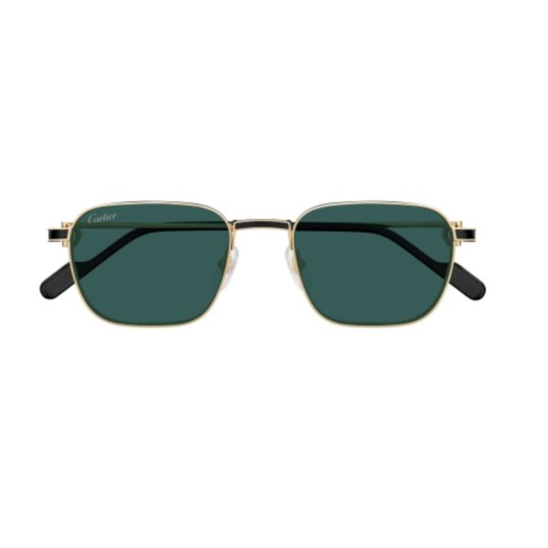 Cartier CT0497S-008 54mm - Image 3