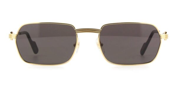 Cartier CT0463S-001 56mm - Image 3